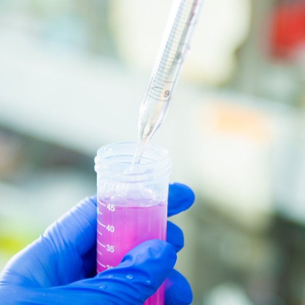 薬学教育研究部門 星薬科大学薬学部